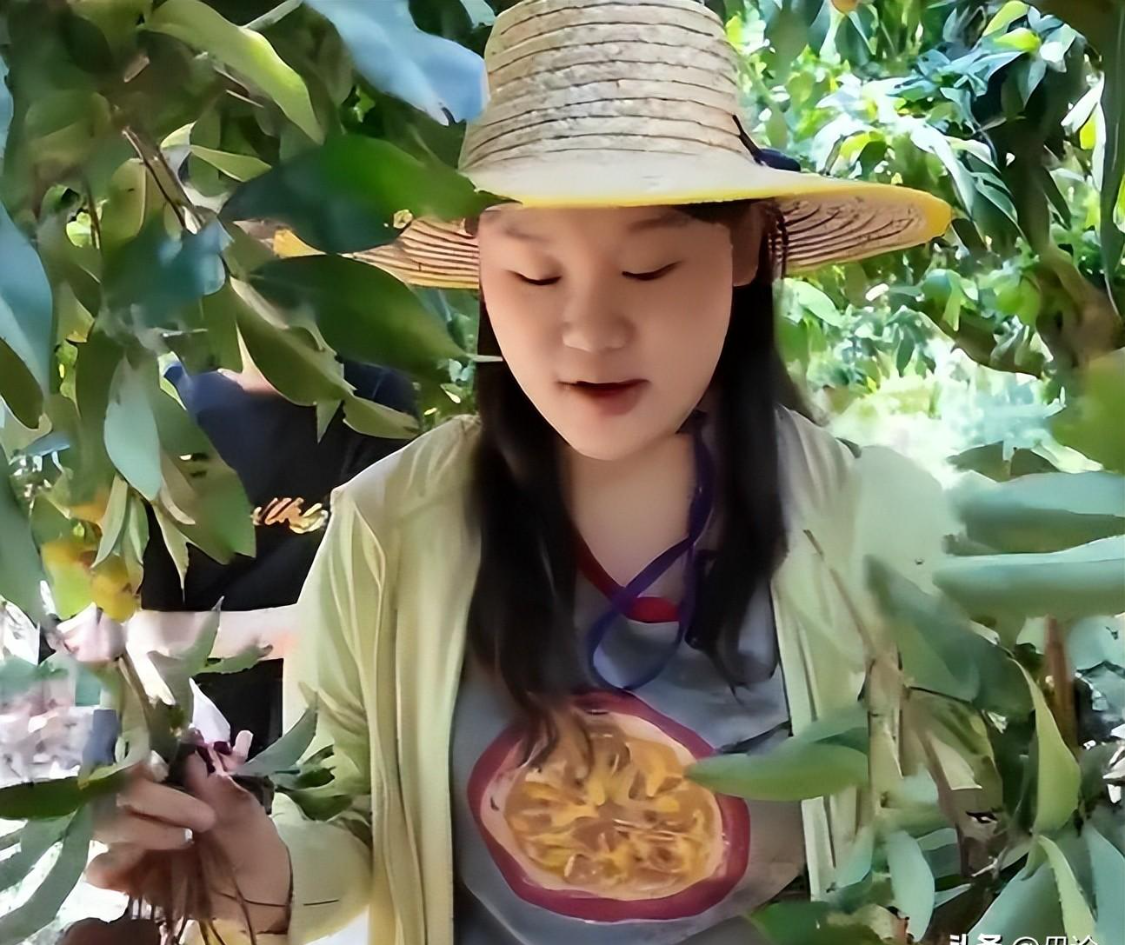 哈弗茨巴洛贡两球领跑·2026世界杯金靴奖争夺战开启 哈弗茨巴洛贡两球领跑·2026世界杯金靴奖争夺战开启