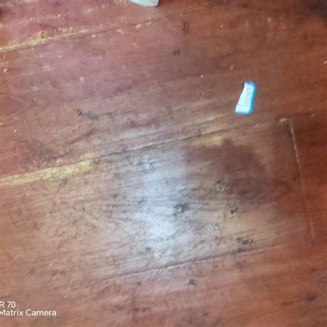 三维排能,实时人体姿态检测 高瘦率的运动学数据 九游体育