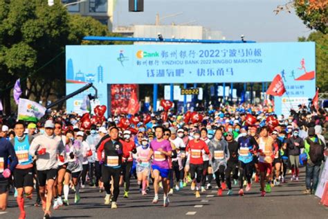 九游体育资质荣誉 九游体育